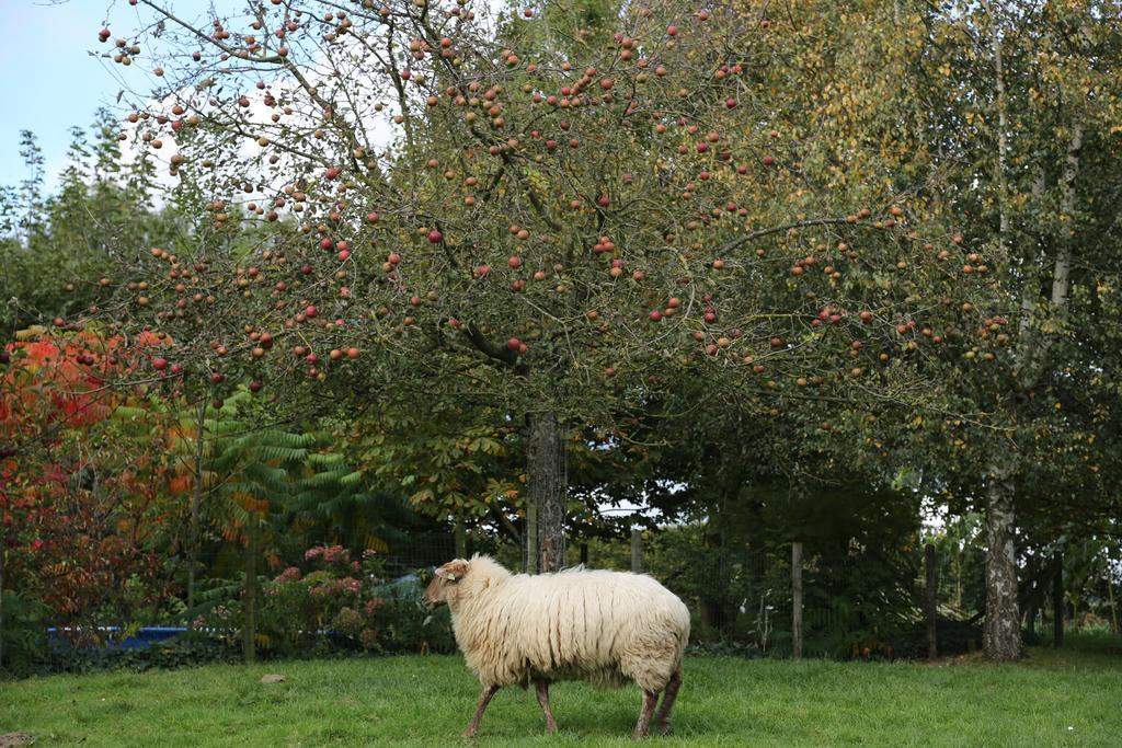 Welsden Dertien Bed & Breakfast Margraten Bagian luar foto