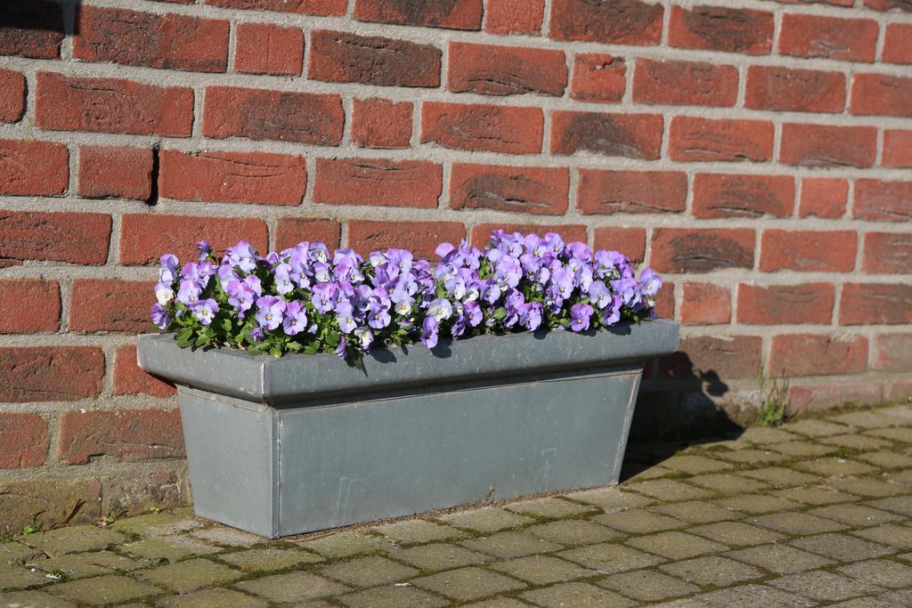 Welsden Dertien Bed & Breakfast Margraten Bagian luar foto